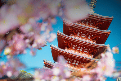 Japan, 28,141 accommodations