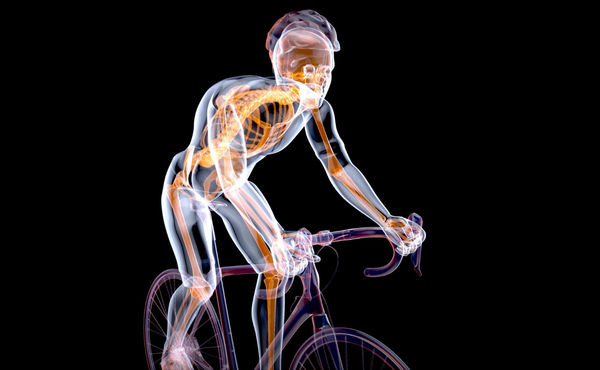 Biomechanics in sporting conference Rimini