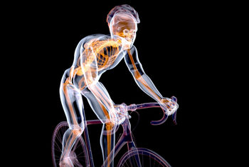 Biomechanics in sporting conference Rimini