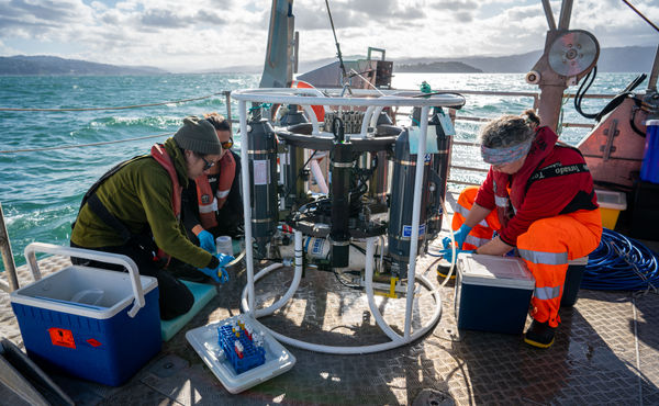  - Stacey Deppeler, Sarah Seabrook, and Marta Ribó processing water samples off RV Ikatere (Photo credit Stuart Mackay)