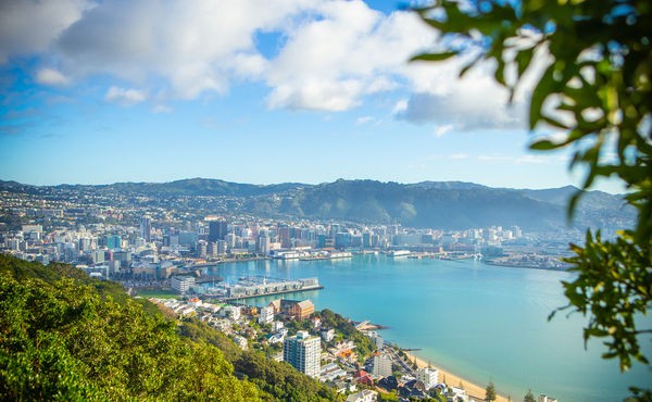 Wellington Mount Vic Lookout