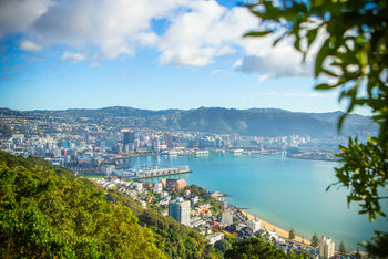 Wellington Mount Vic Lookout
