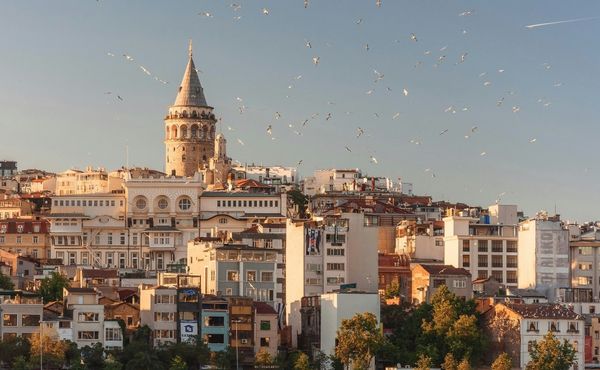 Birds flying across Istanbul skyline