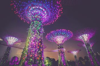Jewel Changi Airport Singapore