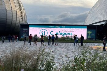 C elegans conference at SEC
