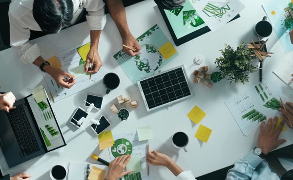 Sustainability advisory board