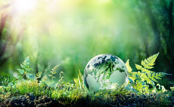 Adobe sustainability downloaded image