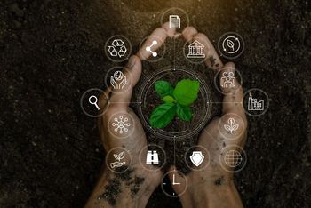 Sustainabilty graphic image