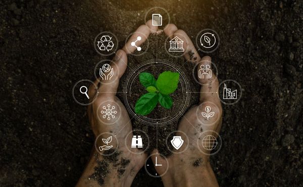 Sustainabilty graphic image