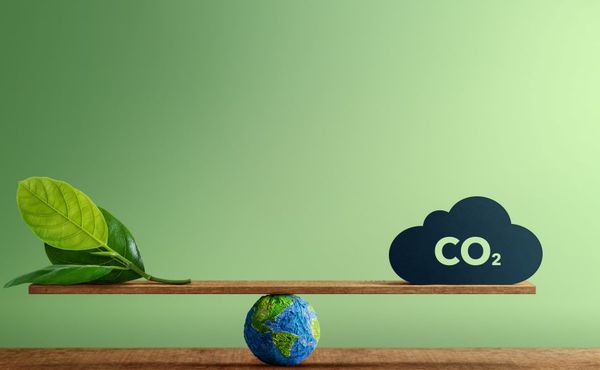 Net zero balancing act