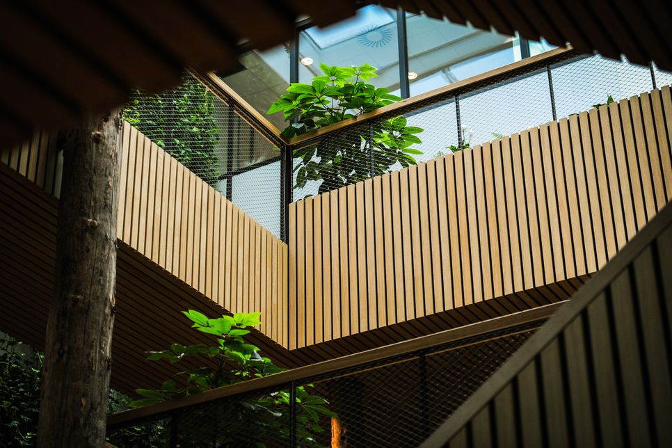 Greenery growing through concrete building