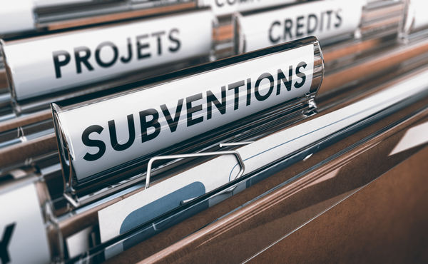 Conferli Subvention Guide