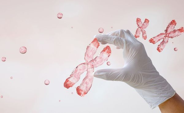Hand manipulating chromosome