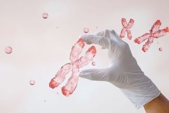 Hand manipulating chromosome