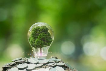 Image to suggest green subvention