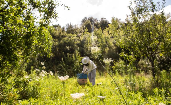 Incredible Impact and Seed Grant fund