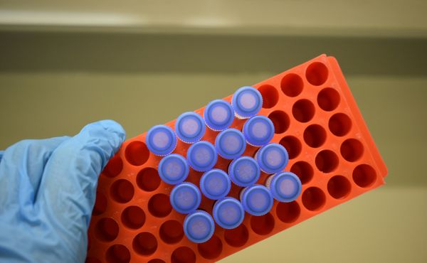 life science laboratory woman hand close-up