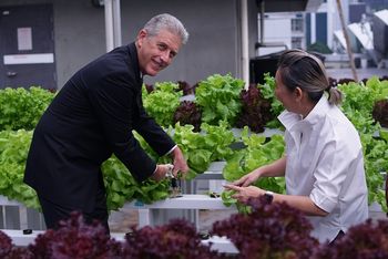 Alan Pryor, General Manager of the Kuala Lumpur Convention Centre gleefully harvests the first batch of salads grown on the venue’s rooftop while Liz Jasri, Director of The Green Attap looks on