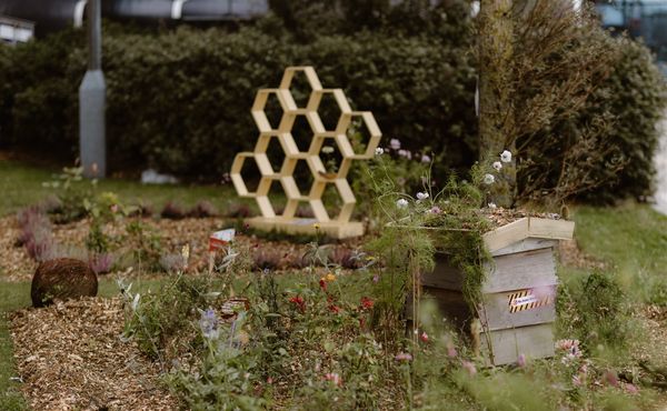 Jono Symonds Photo Film