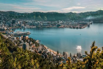 Wellington NZ