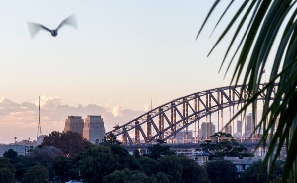 Sydney Harbour Bridge