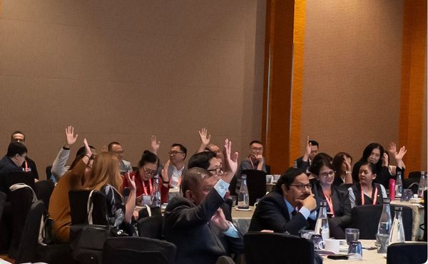 Delegates at first APSAE summit