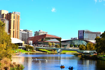 Adelaide targets international growth with personnel changes