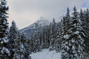 Calgary, Banff & Lake Louise: The Ultimate Canadian Meeting Combination