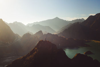 Is wellness the new way forward?