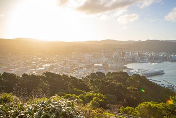 Hosting with purpose: Wellington delivers measurable impact for New Zealand