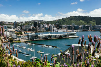 New Zealand – a platform for change