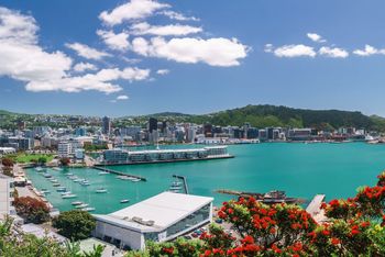 Wellington New Zealand