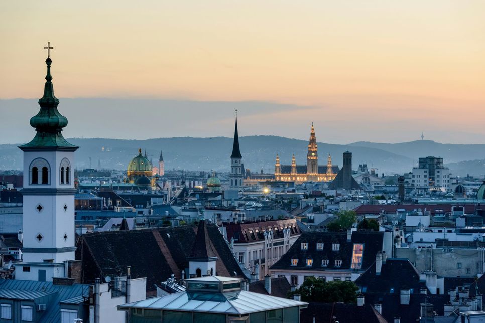 Vienna rooftops at dusk