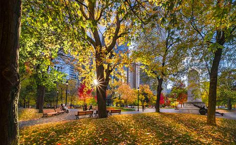 Dorchester Square - Place du Canada