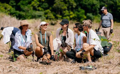 Tree Planting in Mabi Rainforest with Reforest
