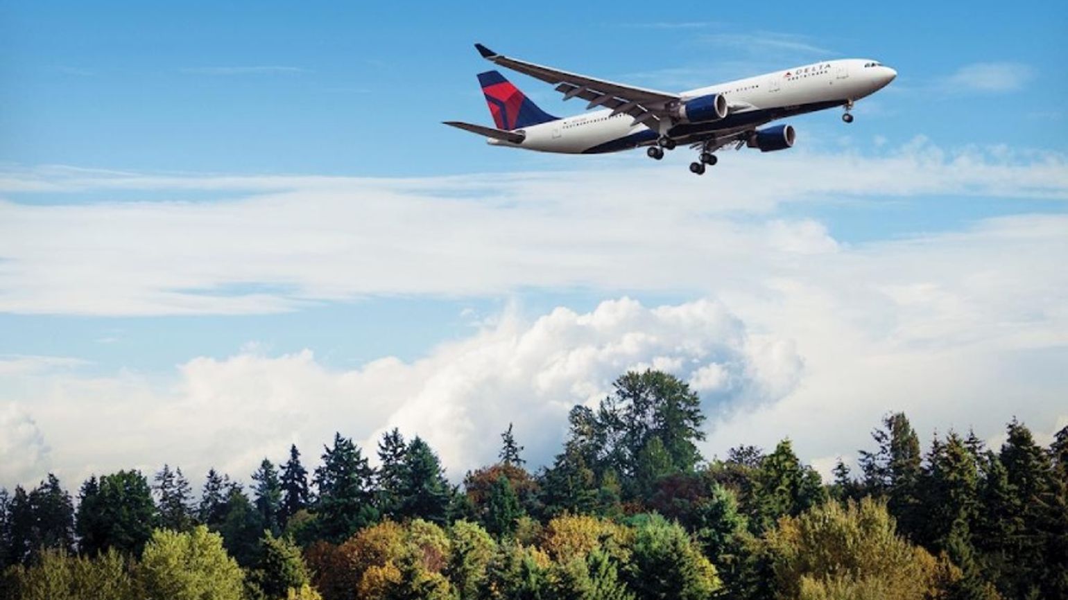 A Delta aircraft flying over trees