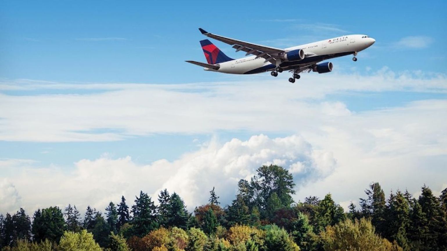A Delta aircraft flying over trees