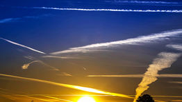 Carbon emissions down seven per cent in 2020