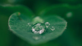 UK government announces £15 million sustainable fuel competition