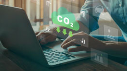 BCD Travel partners with eco.mio to facilitate carbon taxes
