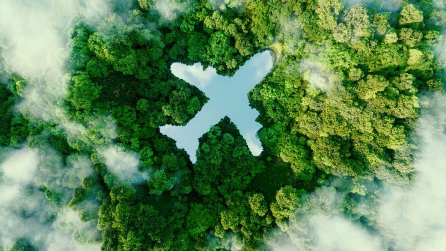 SME carbon emissions