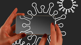 Serko adds Zeno functionality to support contact tracing mandates