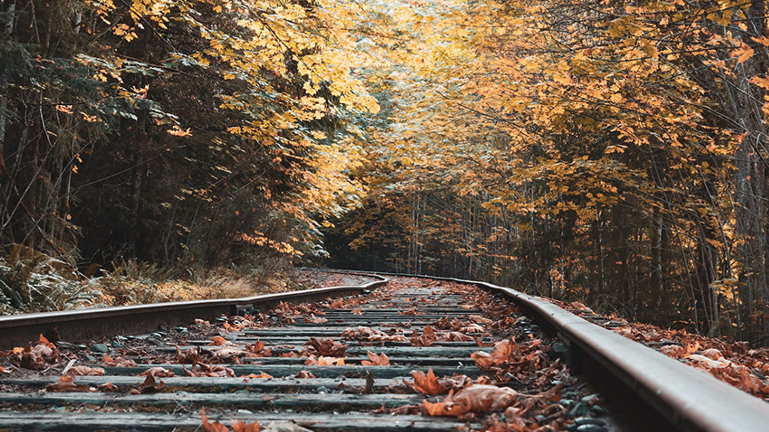autumn leaves rail