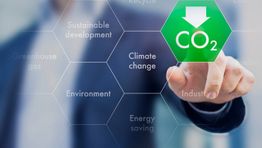 Synergy partners with sustainability specialist GreenFeet to reduce emissions