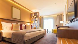 European hotel rates soar despite lower occupancy  levels