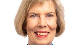 Areka Consulting appoints SVP for the DACH region