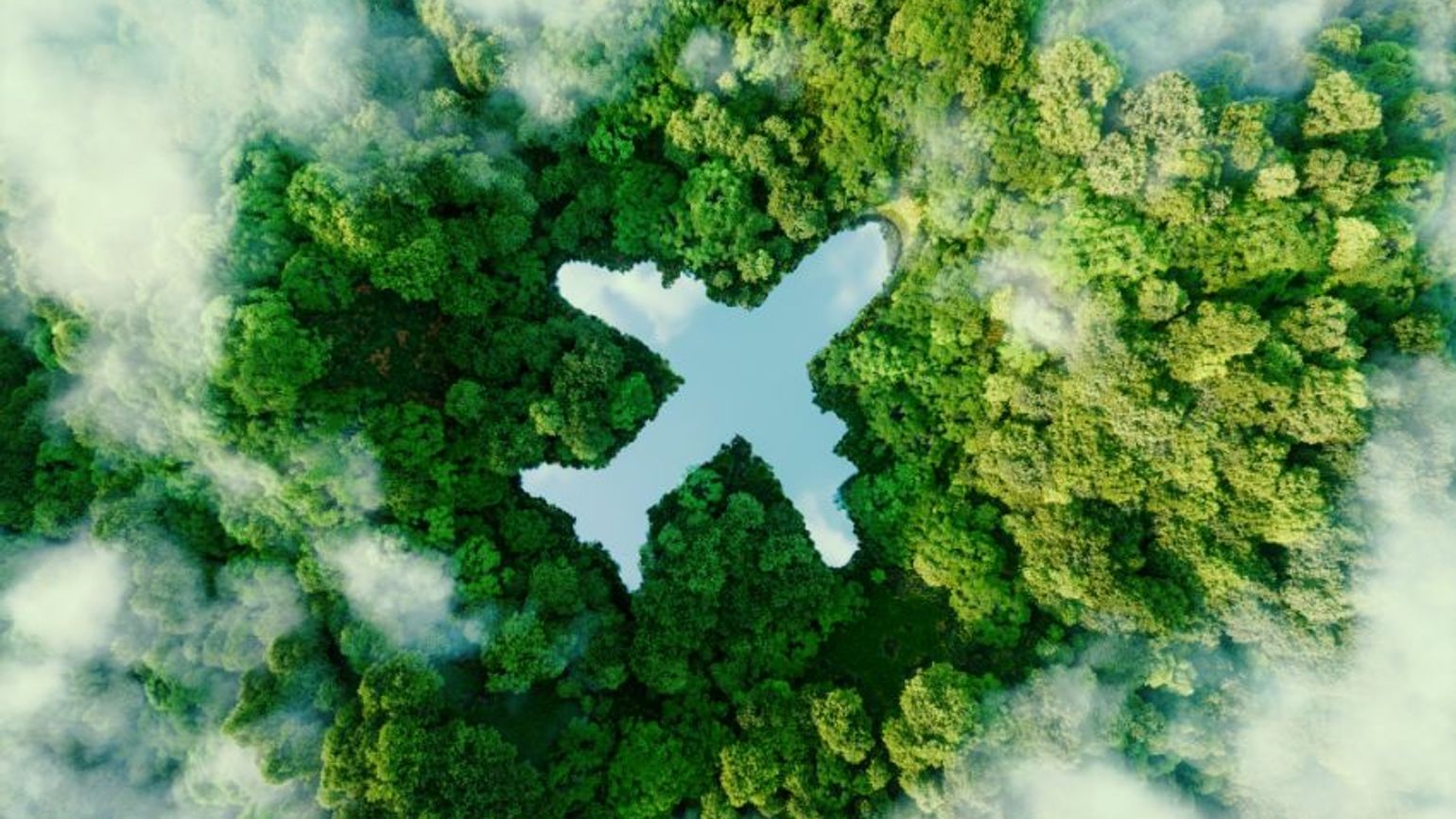 BCD sustainability green