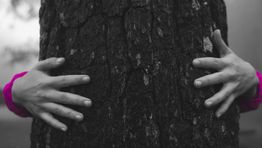 Agiito reveals results of carbon offsetting initiative