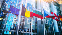 EU urged to ‘press ahead’ with digitalising of travel documents