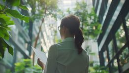 Sustainability green environment